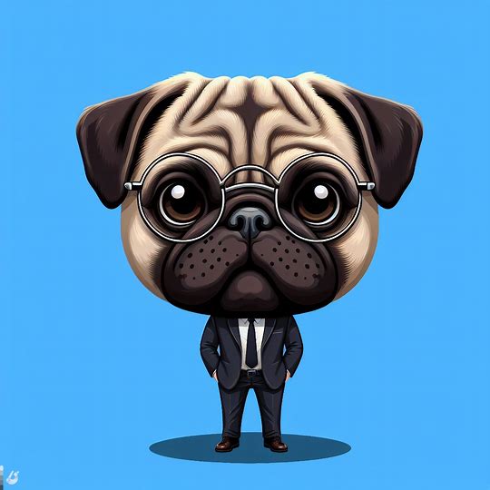 Lulu the pug